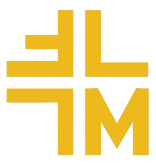 FM Plus